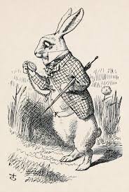 5 ways to avoid March (Hare) Madness