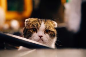 Frustrated at work? Maybe that's good